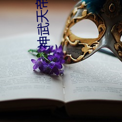神武天帝小说