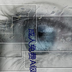 成(成)人免费A级(級)毛(毛)片韩国(國)