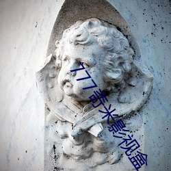 凯时|AG(AsiaGaming)优质运营商
