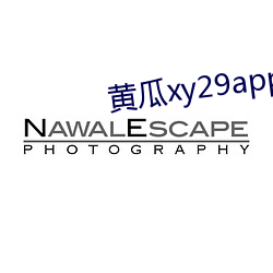 黄瓜(guā)xy29app