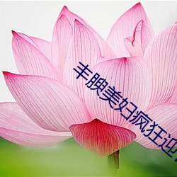 丰腴(腴)美妇疯狂迎合