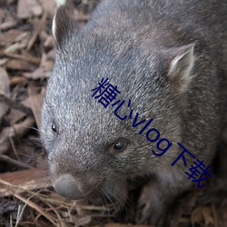 金年会 | 诚信至上金字招牌