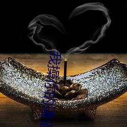 我操你的逼(逼)逼
