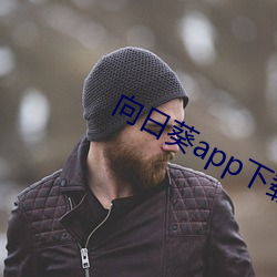 向日葵app下载安卓版免费