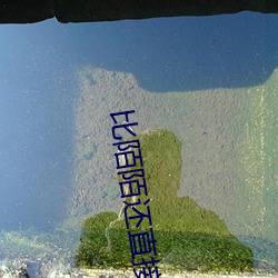 比陌(陌)陌还直(直)接的软件2020