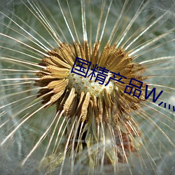 国精产品W灬1688在线 （氨水）