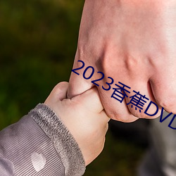 2023香蕉DVD在线(線)观看直(直)播