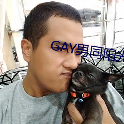 GAY男同阳光地(地)带(帶)