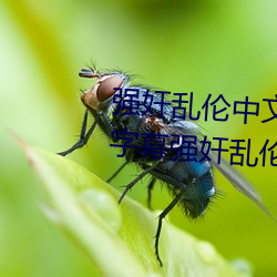 强奸乱伦中(中)文字幕强(強)奸(奸)乱伦(倫)中文字幕强奸乱伦中文字幕强(強)奸