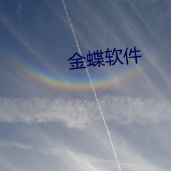 金蝶软件