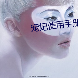 宠妃(妃)使用手册