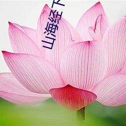 金年会 | 诚信至上金字招牌