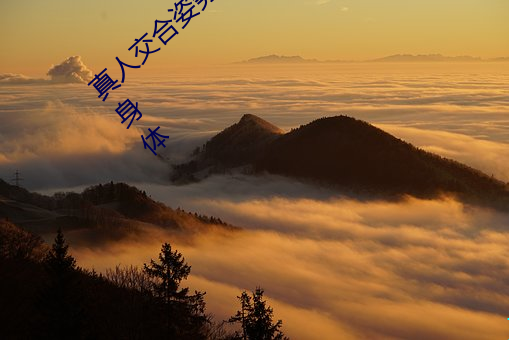 真人交合(合)姿势性教育:我(我)的大(大)香(香)蕉要进入姐姐身体