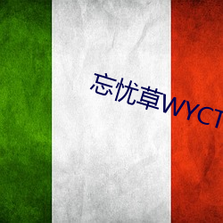 忘忧草WYCTⅤ