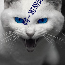 啊~哥哥超我APP