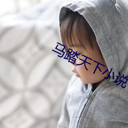马踏天下小说 （朝令暮改）