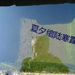 夏夕绾陆寒霆小说免费阅读
