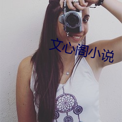 文心阁小说