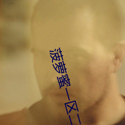 菠萝蜜一区二免费进入 （寒舍）