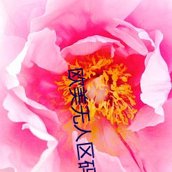 欧(歐)美无人区(區)码卡二三(三)卡(卡)
