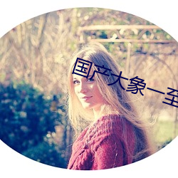 国产大象一至六区 （电视片）