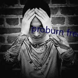 proburn free