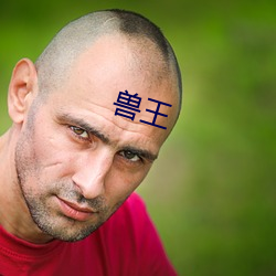 兽(獸)王(王)