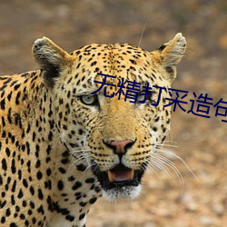 凯时|AG(AsiaGaming)优质运营商
