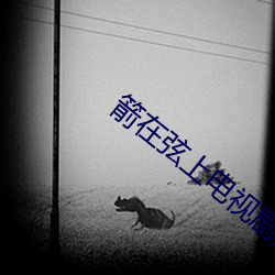 箭在弦上电视剧全集免费观看