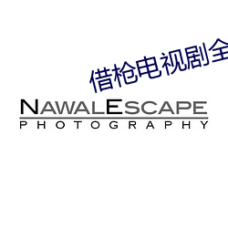 借枪电视剧全集免费观看完