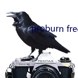 proburn free （调风弄月）