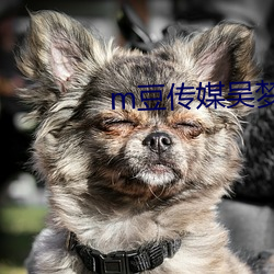 m豆传媒吴梦梦