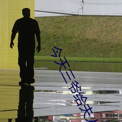 今天三爺給夫人撐腰了嗎