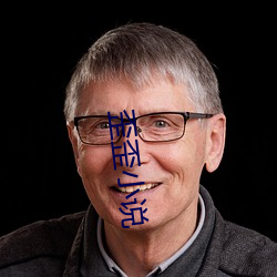 歪歪小说