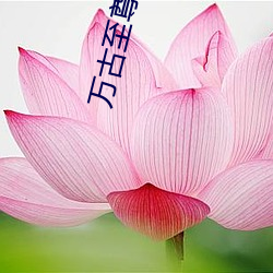 萬古至尊李凡免費閱讀