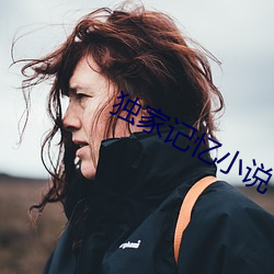独家记忆小说