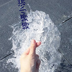 婷婷小说