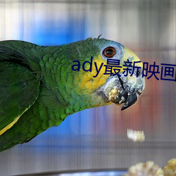 ady最新映畫在線觀看