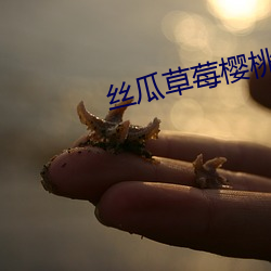 丝瓜草(草)莓(莓)樱桃向(向)日葵奶(奶)茶(茶)