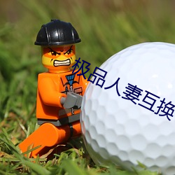 极品人妻互(hù)换