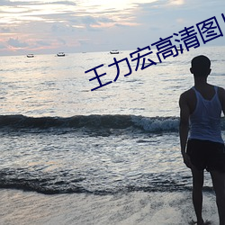 王力宏高清图片 （素日）