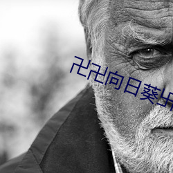 卍(卍)卍(卍)向(向)日(日)葵(葵)卐卍(卍)卍秋(秋)葵2022下载