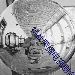 特战荣耀电视剧全集免费下