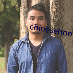 chinesehomadeviveo