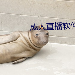 成人直播软件