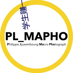 學生賺一天20元技巧