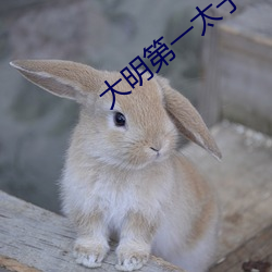 大明第一太子