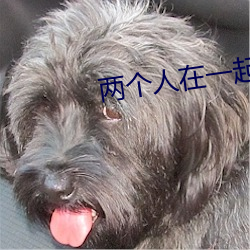 两个人在一起靠的视频 （倒嚼）