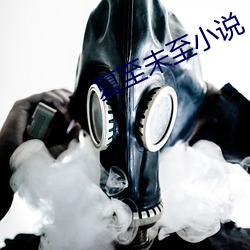 夏至未至小说 （怎么样）