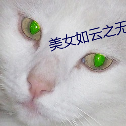 美女如雲之無懈可擊全集